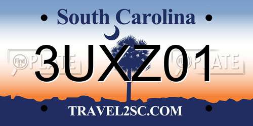 3UXZ01 South Carolina License Plate