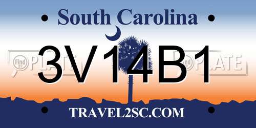 3V14B1 South Carolina License Plate