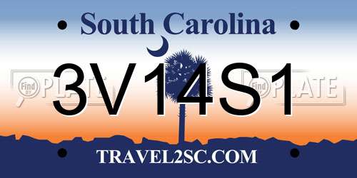 3V14S1 South Carolina License Plate