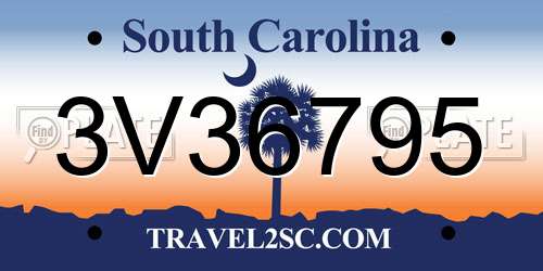 3V36795 South Carolina License Plate