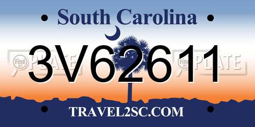3V62611 South Carolina License Plate