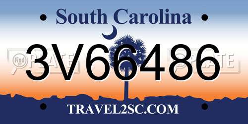 3V66486 South Carolina License Plate