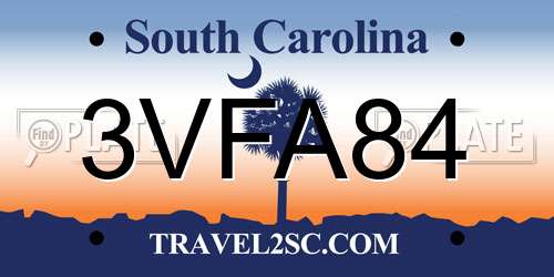 3VFA84 South Carolina License Plate
