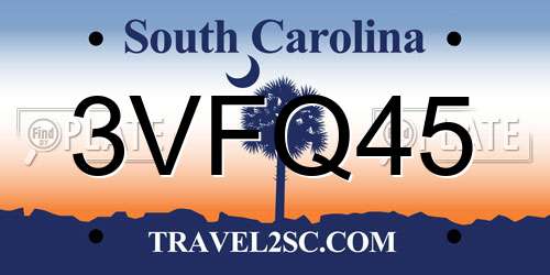 3VFQ45 South Carolina License Plate