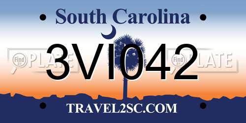 3VI042 South Carolina License Plate