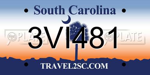 3VI481 South Carolina License Plate