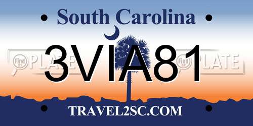 3VIA81 South Carolina License Plate