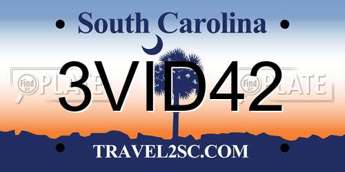 3VID42 South Carolina License Plate