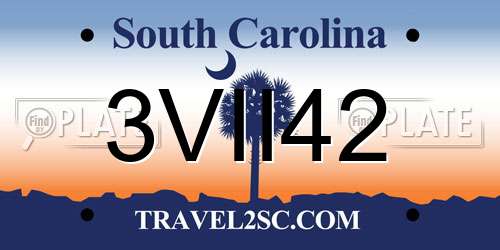3VII42 South Carolina License Plate