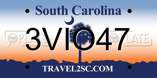3VIO47 South Carolina License Plate
