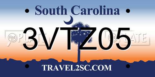 3VTZ05 South Carolina License Plate