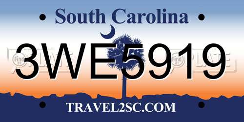 3WE5919 South Carolina License Plate