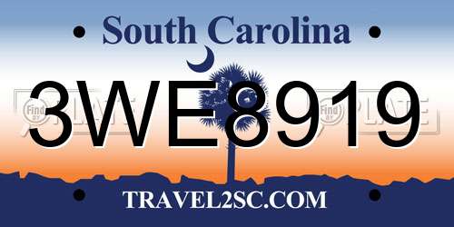 3WE8919 South Carolina License Plate