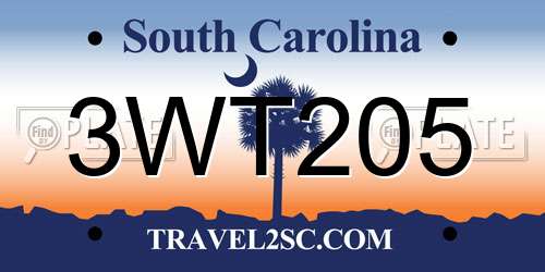 3WT205 South Carolina License Plate