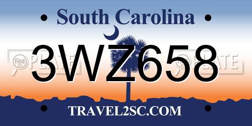 3WZ658 South Carolina License Plate
