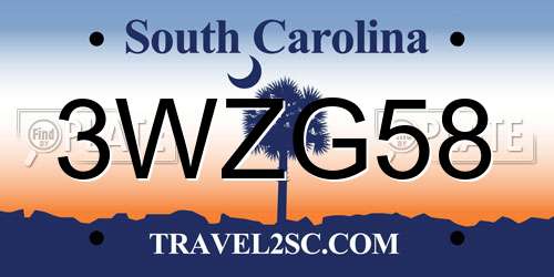 3WZG58 South Carolina License Plate