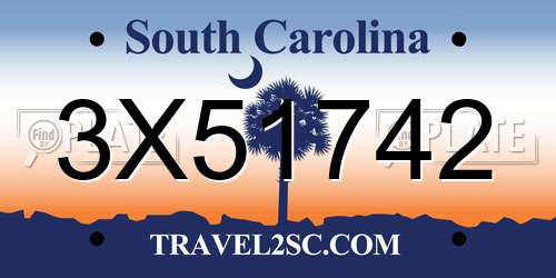 3X51742 South Carolina License Plate