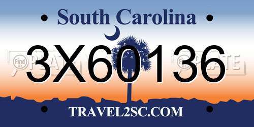 3X60136 South Carolina License Plate