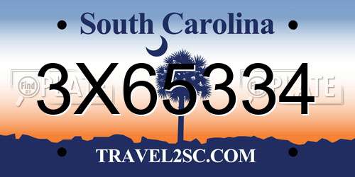 3X65334 South Carolina License Plate
