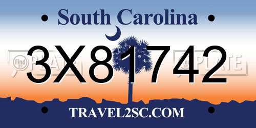 3X81742 South Carolina License Plate