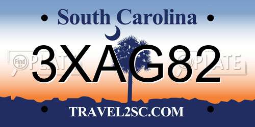 3XAG82 South Carolina License Plate