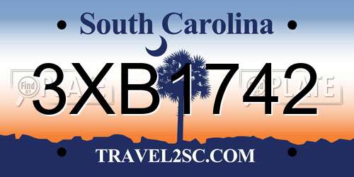 3XB1742 South Carolina License Plate