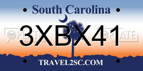 3XBX41 South Carolina License Plate