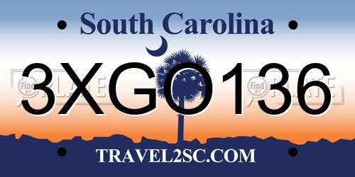 3XGO136 South Carolina License Plate