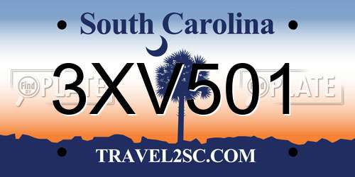 3XV501 South Carolina License Plate