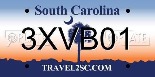 3XVB01 South Carolina License Plate