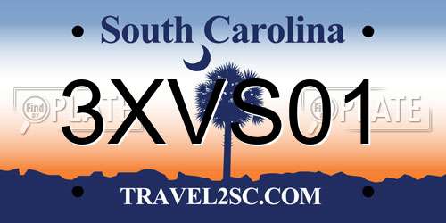 3XVS01 South Carolina License Plate