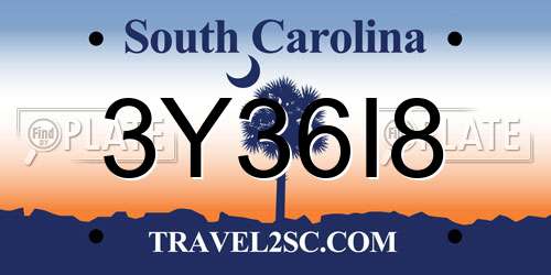 3Y36I8 South Carolina License Plate