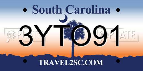 3YTO91 South Carolina License Plate