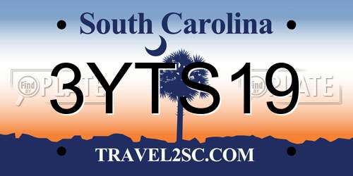 3YTS19 South Carolina License Plate