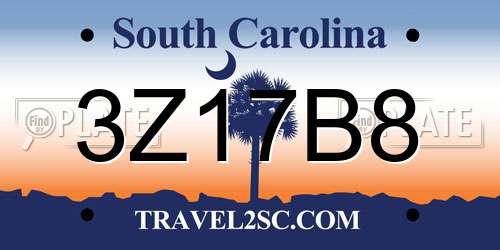 3Z17B8 South Carolina License Plate