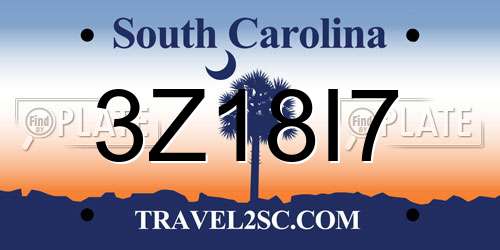 3Z18I7 South Carolina License Plate
