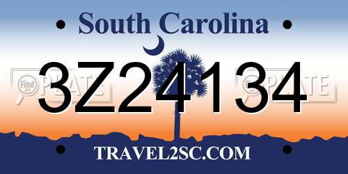3Z24134 South Carolina License Plate