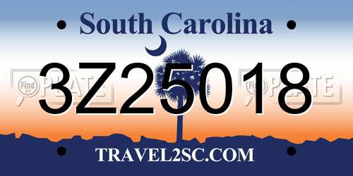 3Z25018 South Carolina License Plate