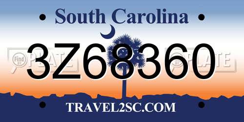 3Z68360 South Carolina License Plate