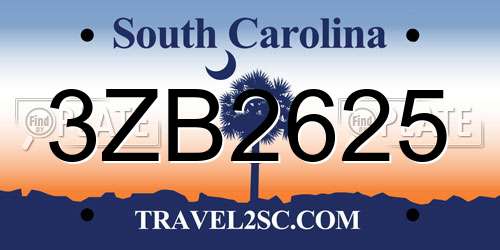 3ZB2625 South Carolina License Plate