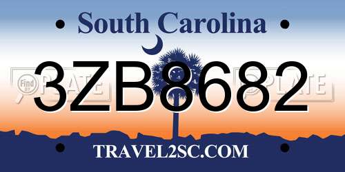 3ZB8682 South Carolina License Plate