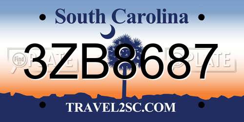3ZB8687 South Carolina License Plate