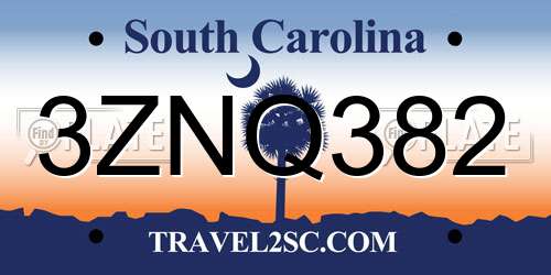 3ZNQ382 South Carolina License Plate