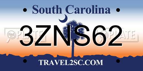 3ZNS62 South Carolina License Plate