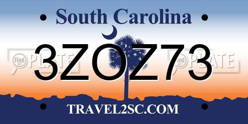 3ZOZ73 South Carolina License Plate
