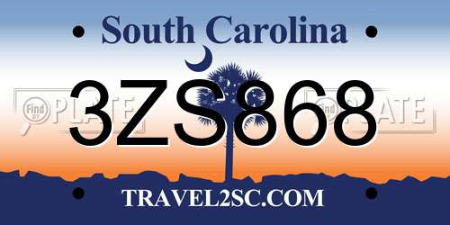 3ZS868 South Carolina License Plate