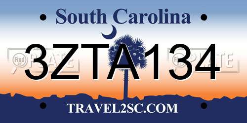 3ZTA134 South Carolina License Plate