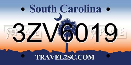 3ZV6019 South Carolina License Plate