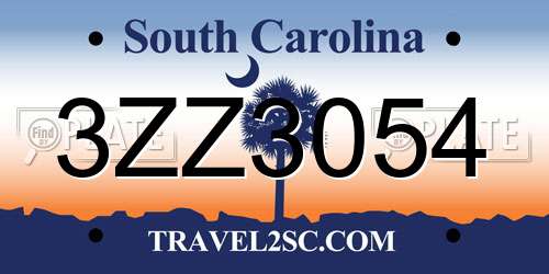 3ZZ3054 South Carolina License Plate