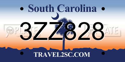 3ZZ828 South Carolina License Plate